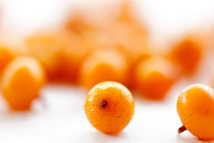 素材への取り組み