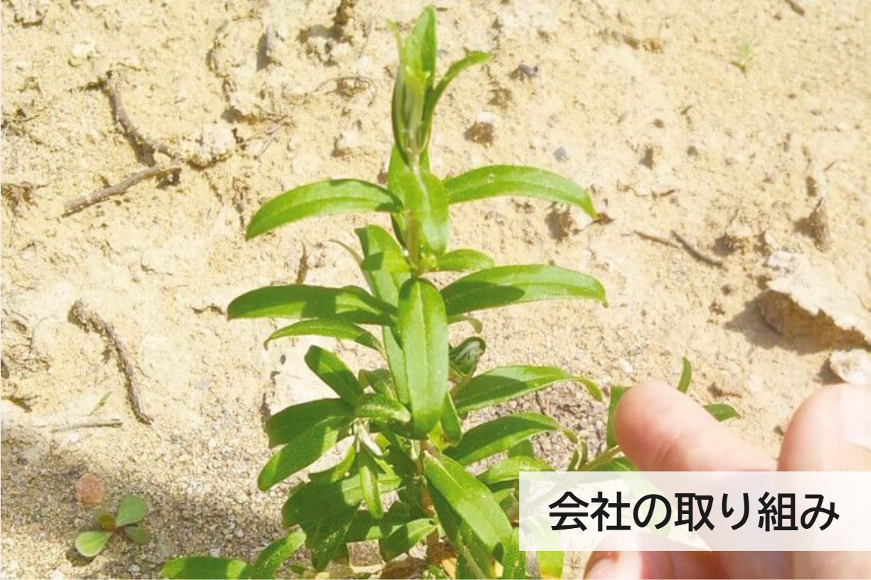 会社の取り組み